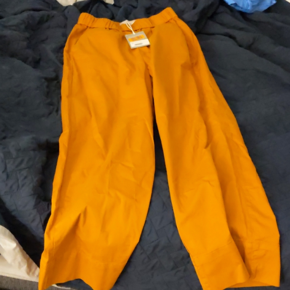 Everlane pants